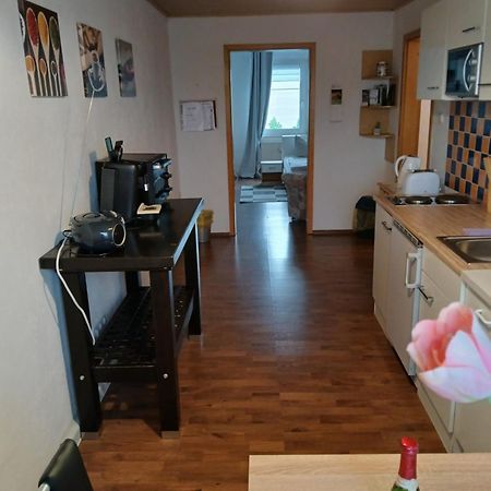 Kleine Wohnung Fuer Monteure Und Dienstreisen Цвиккау Экстерьер фото